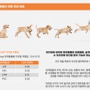 털로덮인친구들 시흥배곧점 네이버블로그