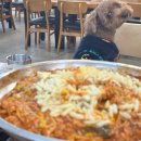 아구통통 | [요즘 근황 모아모아2] 애정하는 사람들과 함께한 2월 .｡o♡( ⸝⸝･໐･⸝⸝ )