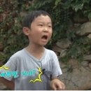 이쁘면다냥 이미지