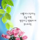 설레는아침