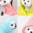 보니또펫 이미지