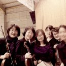 고리울초등학교 이미지