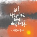 삼림이라도 네가 개척하라 (수17장) 이미지