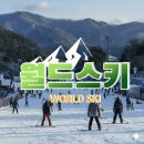 만족 | 엘리시안강촌 스키강습 비용 만족한 후기