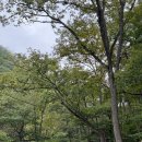 태화사 | 양산 한달살기 : 양산여행 양산가볼만한곳 내원사