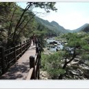 월류봉 둘레길 완정교 화장실 이미지