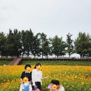 은행나무길 | 아산 현충사 곡교천 은행나무길 가족 나들이 후기