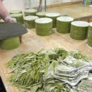 만두쟁이 이미지