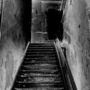 대순진리회같은 이단에 껌뻑 속아넘어가서 본거지 탐방까지 이미지