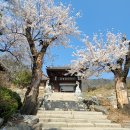 상주 전식초상 일괄 | [경기 화성] 무봉산 만의사