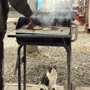 화성드림파크 시설관리동 앞 | 공주 파크오브드림 캠핑장 계룡산 글램핑 크리스마스 테마