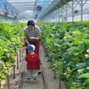 아이미소어린이집 | 딸기밭 체험 후 딸기파르페 만들기/구미어린이집 체험학습 리얼후기 (아이들 반응 대박!)