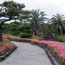 오이랜드 이미지