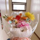 대상체르니 이미지