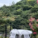 지리산 계곡 노아펜션 이미지