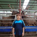 평동농장 이미지