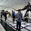 중원대학교 박물관 이미지