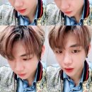 스타라이브 Daum카페