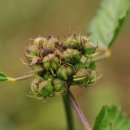 불암초등학교 이미지