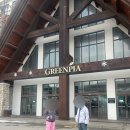 그린피아 | 모나 용평리조트 그린피아 콘도 객실 후기&amp;바우처, 식기도구, 스키장 거리