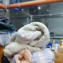 트윈세탁소 이미지