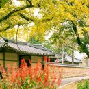 정촌농장 이미지