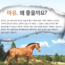 홍익홍삼