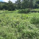 불은면-3 이미지