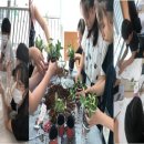 양정청소년수련관 이미지