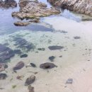 장호2리 이미지