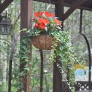 평창농원 이미지