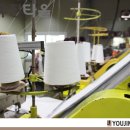 도매라인 이미지