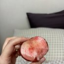 명한농장 이미지