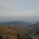 노송목장 이미지