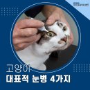북부 동물병원 이미지