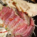 광주보쌈 이미지