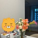 플로드로브