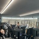 아나토미 스트랭스 이미지