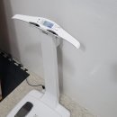 예움핏
