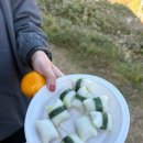 읍내스테이 이미지