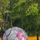 만수근린공원 이미지