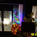 딜루디움 이미지