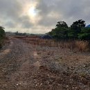 무릉1리마을회관 이미지