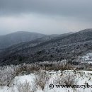 설천면102 이미지