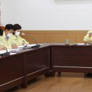 강진8호 이미지