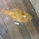 골든빌리지펜션 이미지