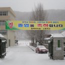 함백중고등학교 Daum카페