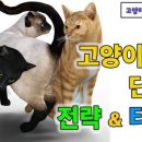 윤쌤동물병원 이미지