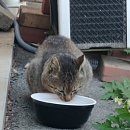 AG공인중개사사무소 이미지