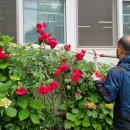 괴정4동 행정복지센터 이미지